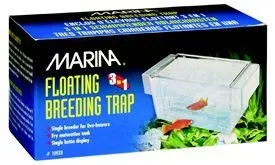 Marina Maternidade Flutuante p/ Peixes