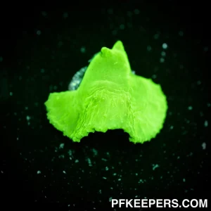 Ultra Green Sinularia Dura