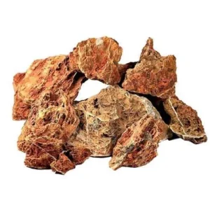 Mapple Leaf Stone por Kg