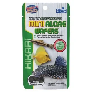 Mini Algae Wafers Hikari 0.77oz (22g)